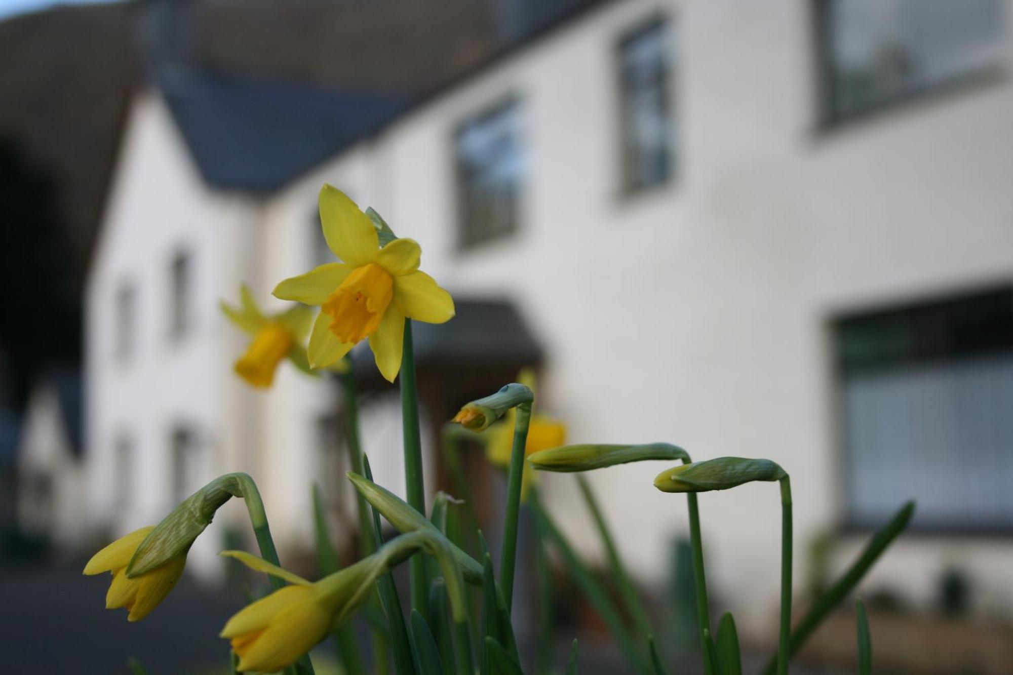 Padarn Apartment At Glanybala Holidays 兰贝里斯 外观 照片